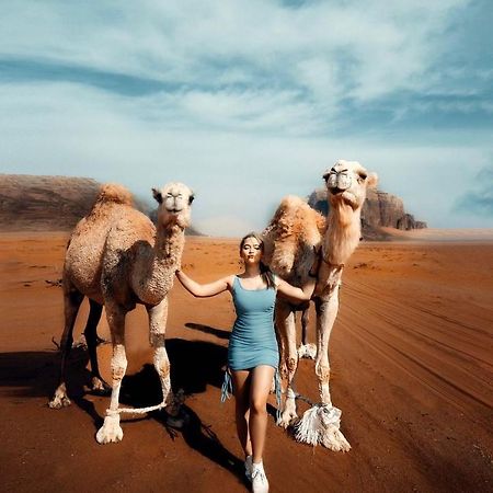 فندق Quite Bedouin Life وادي رم المظهر الخارجي الصورة