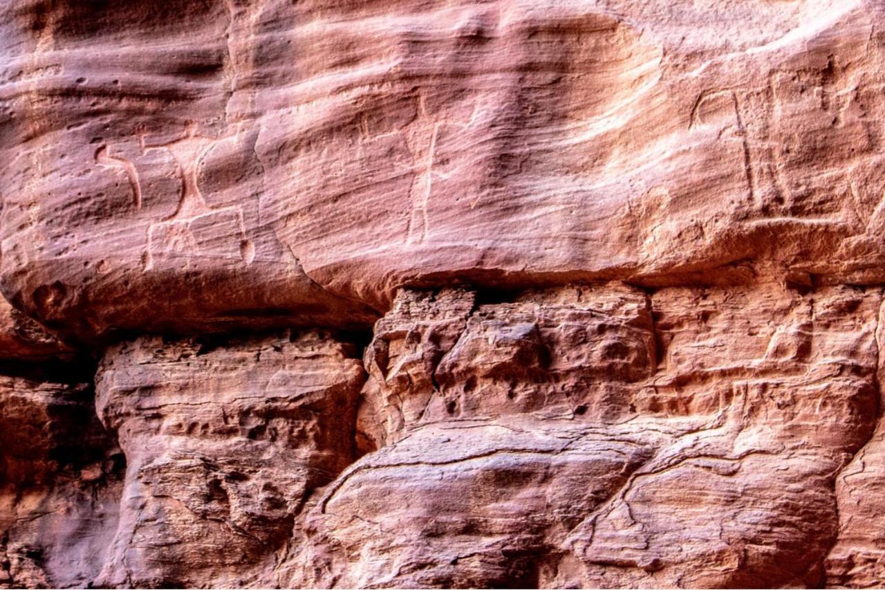 فندق Quite Bedouin Life وادي رم المظهر الخارجي الصورة